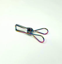 Load image into Gallery viewer, Stainless Steel EXTRA Large Pegs - Rainbow 316 Marine Grade (30 Pack)