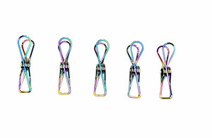 Bare & Co. - Stainless Steel Large Pegs - RAINBOW Marine Grade (50 Pack) Bare & Co. - The Well Store