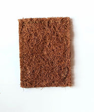 Load image into Gallery viewer, Coconut Scrub Pads - Twin Pack
